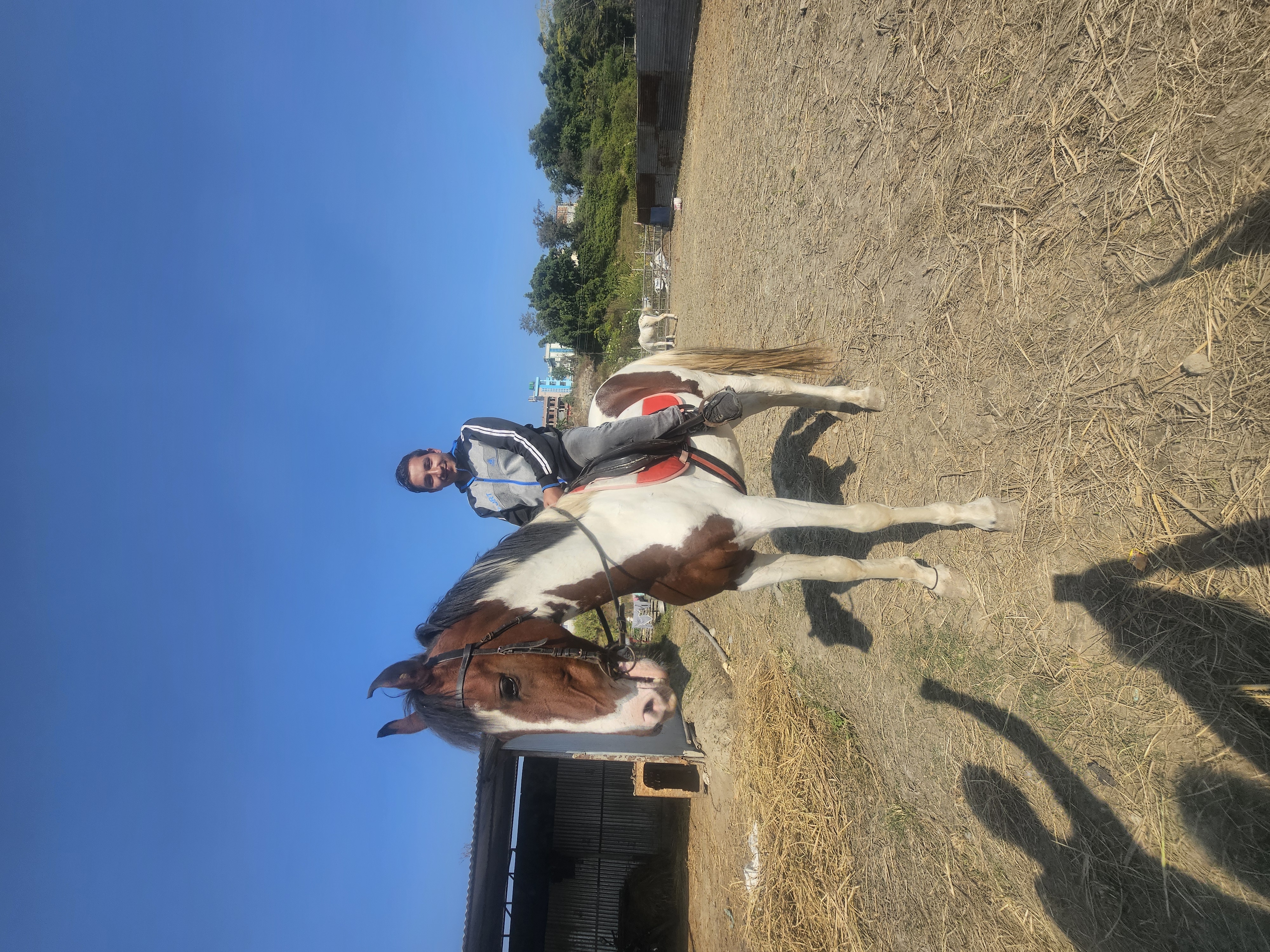 Janak Khadka, November 2025